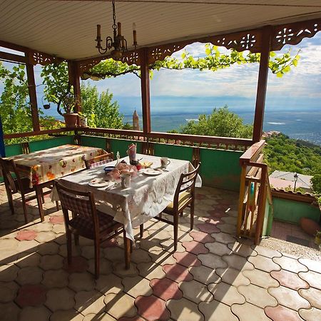 Tsitso & Soso Guesthouse Tsnoristskali 외부 사진