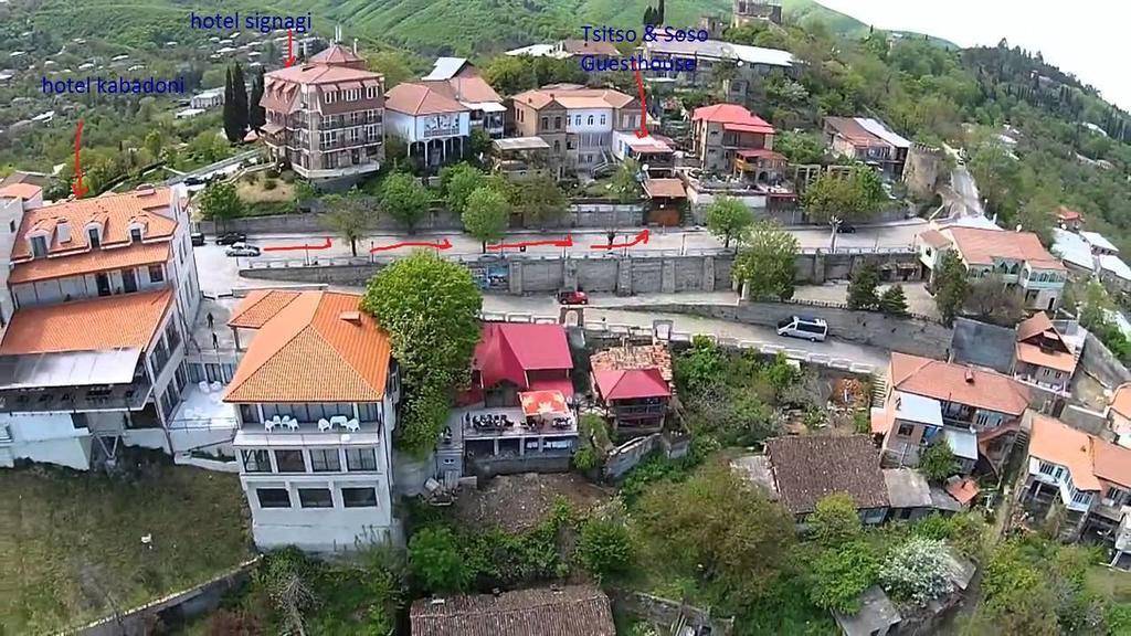 Tsitso & Soso Guesthouse Tsnoristskali 외부 사진