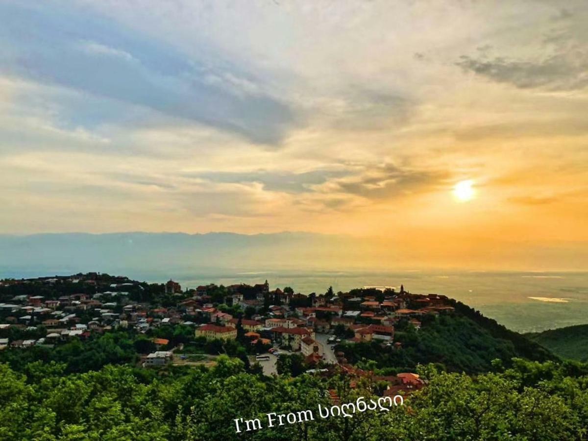 Tsitso & Soso Guesthouse Tsnoristskali 외부 사진