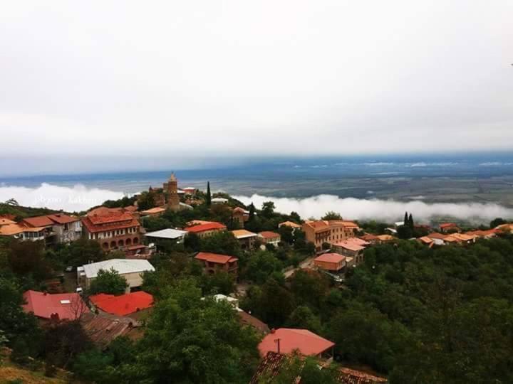 Tsitso & Soso Guesthouse Tsnoristskali 외부 사진