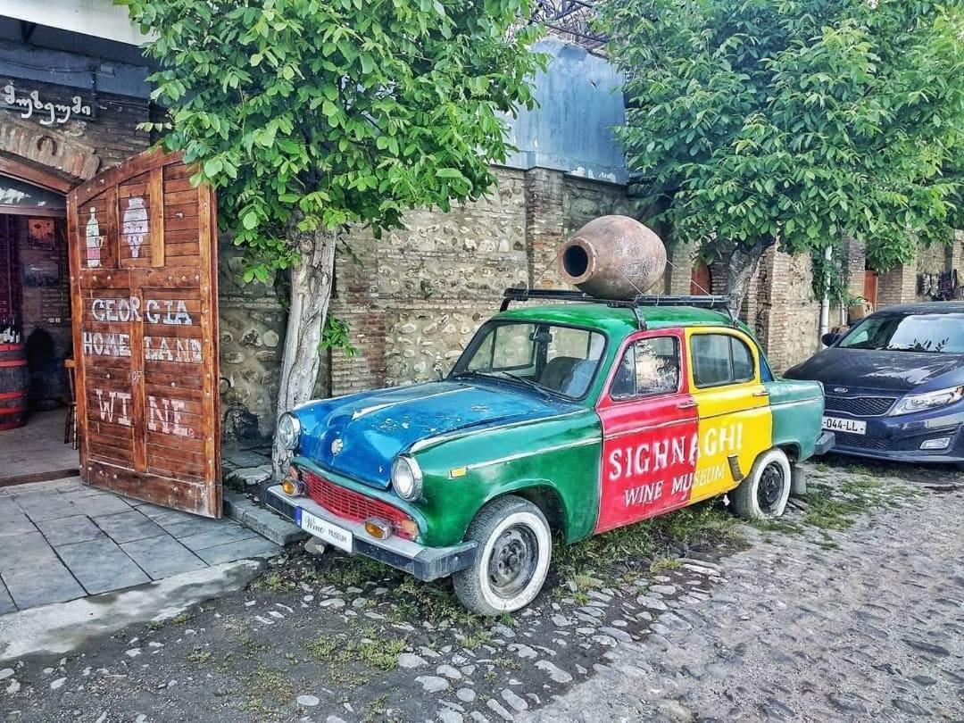 Tsitso & Soso Guesthouse Tsnoristskali 외부 사진