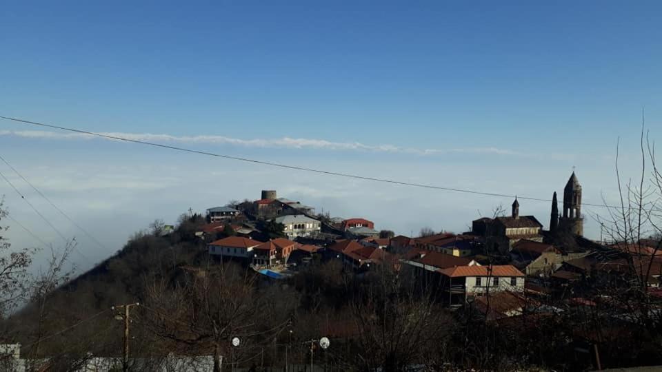 Tsitso & Soso Guesthouse Tsnoristskali 외부 사진
