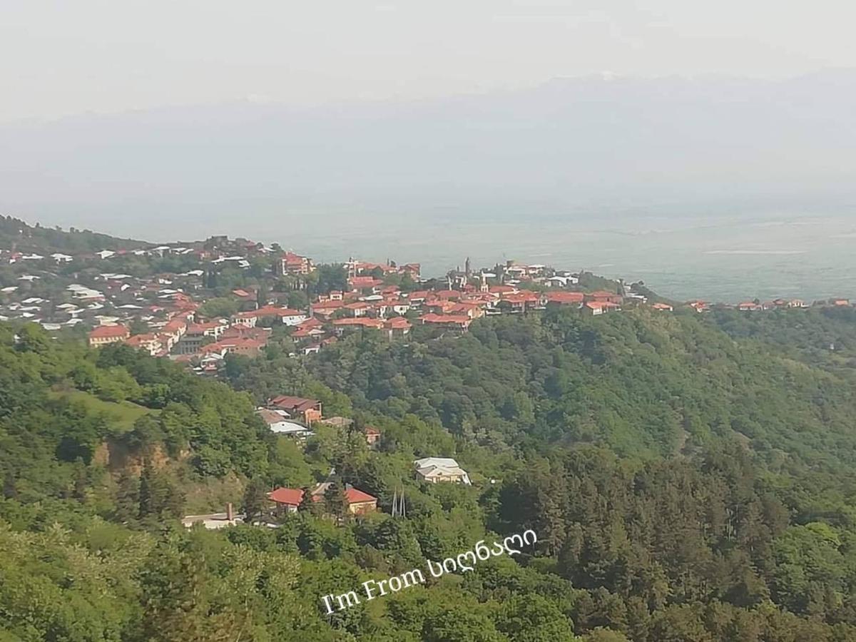 Tsitso & Soso Guesthouse Tsnoristskali 외부 사진